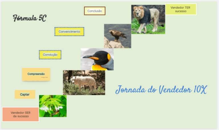 Jornada de desenvolvimento do cliente 5C. Da captação à conclusão. Metáforas com as qualidades de animais